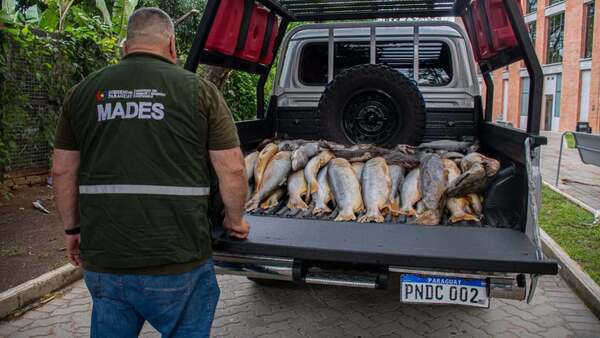 Mades decomisa productos pesqueros durante la veda