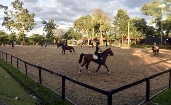 Hipismo: Competencia FEI Dressage - Polideportivo - ABC Color