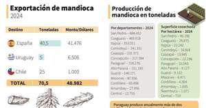 La Nación / La mandioca se consolida como uno de los cultivos más importantes del país