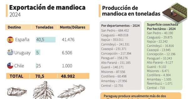 La Nación / La mandioca se consolida como uno de los cultivos más importantes del país
