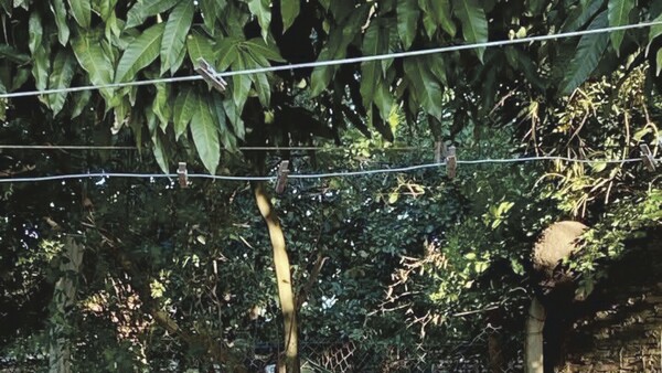 Puso cable pelado por su tejido y trabajador murió electrocutado