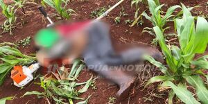 HOMICIDIO EN SAN LUIS DEL PARANÁ: HOMBRE FUE ASESINADO A BALAZOS EN UNA CHACRA