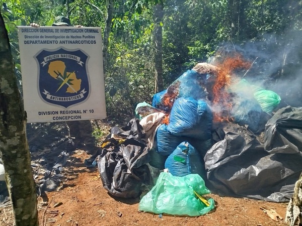 Allanamiento en Sargento José Félix López: destruyen e incineran más de 1.000 kg de marihuana picada - Concepción al Día