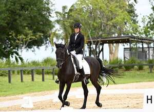 Hipismo: Se cierran jornadas de Dressage - Polideportivo - ABC Color