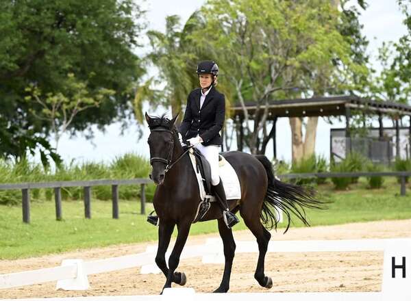 Hipismo: Se cierran jornadas de Dressage - Polideportivo - ABC Color