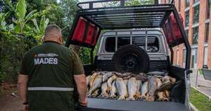 La Nación / Decomisan 31 dorados y otros productos pesqueros durante control por la veda