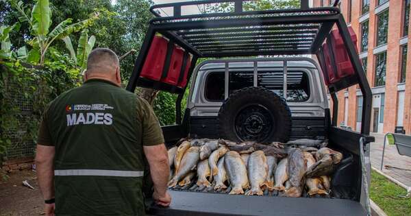 La Nación / Decomisan 31 dorados y otros productos pesqueros durante control por la veda