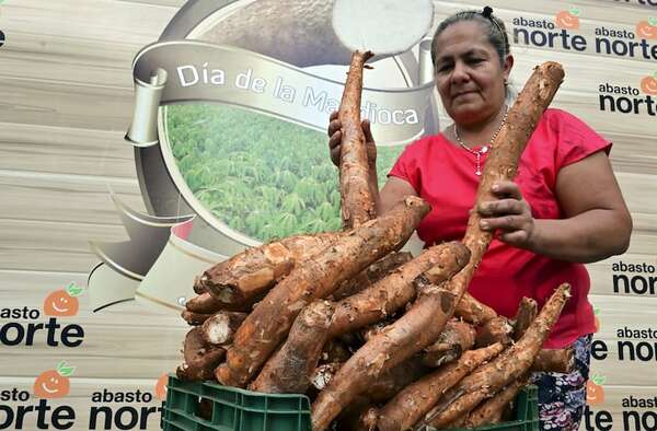 Hoy se festeja el Día de la Mandioca en el Abasto Norte - Economía - ABC Color