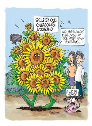 Caló rembiapo - ABC Revista - ABC Color