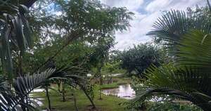 La Nación / La magistral solidez