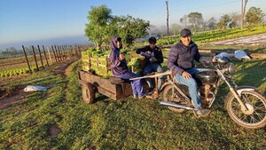 Ser agricultor en el reino del contrabando