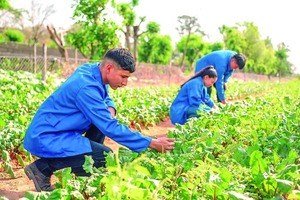Escuelas Agrícolas Autosostenibles: Inscripciones 2026