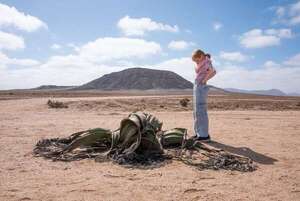 Las plantas más antiguas del mundo: secretos de su longevidad y resiliencia - Ciencia - ABC Color