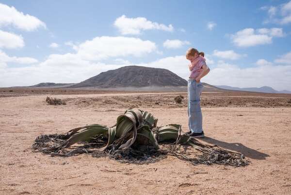 Las plantas más antiguas del mundo: secretos de su longevidad y resiliencia - Ciencia - ABC Color