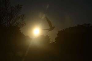 Meteorología: ¿cómo estará el tiempo este domingo? - Clima - ABC Color