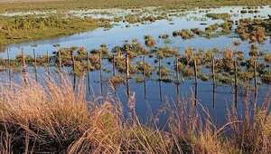 Pequeños productores y oleros de Ñeembucú piden ayuda urgente ante las nuevas inundaciones - Nacionales - ABC Color