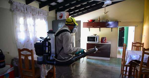 Diario HOY | Paraguay cumple 14 años como país libre de transmisión autóctona de malaria