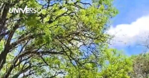 La Nación / Escrachan al exintendente Miguel Prieto y lo llaman “ladrón”