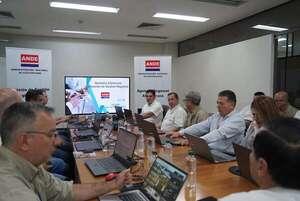 ANDE supera meta de potencia instalada y registra avances - Economía - ABC Color