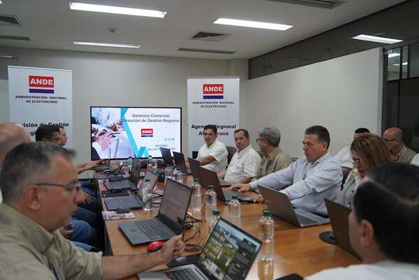 ANDE supera meta de potencia instalada y registra avances - Economía - ABC Color