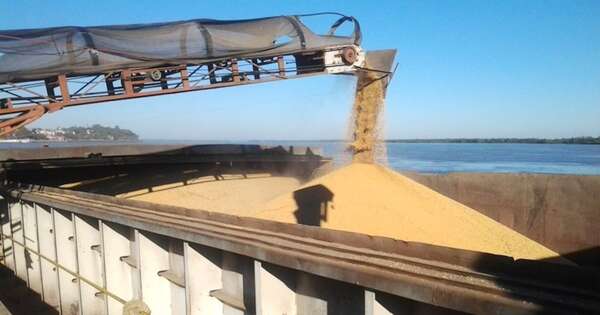 La Nación / Industrialización de soja superó 2,6 millones de toneladas y marcó el mejor registro desde 2019