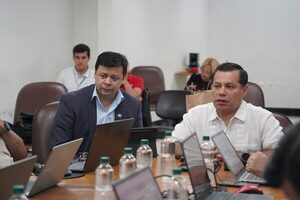 Gestión 2025: ANDE destaca resultados positivos en potencia, mantenimiento y morosidad