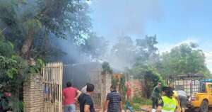 La Nación / Emboscada: intentando quemar un enjambre, provocaron un incendio