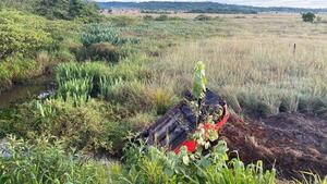 Popular / Ministerio Público pide ayuda para ubicar a familiares de un joven muerto en un accidente