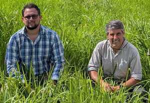 Paraguay frente al Mercosur: cómo gestionar para cerrar la brecha de productividad ganadera