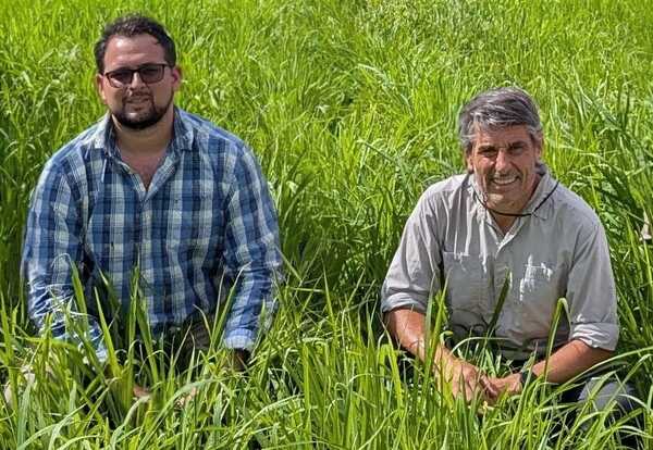 Paraguay frente al Mercosur: cómo gestionar para cerrar la brecha de productividad ganadera