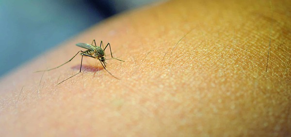  Paraguay Cumple 14 Años Libre de Transmisión de Malaria