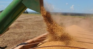 El precio de la soja en Chicago subió 9,5 centavos