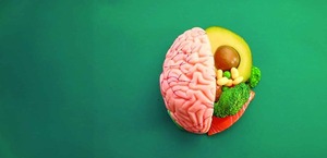 Alimenta tu Cerebro: Microbioma, Prebióticos y Memoria