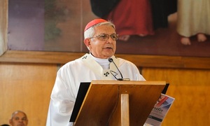 Cardenal advierte que la corrupción y la violencia destruyen la dignidad humana - OviedoPress