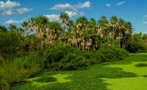 Clima Paraguay: Lunes con amanecer fresco y calor en la tarde