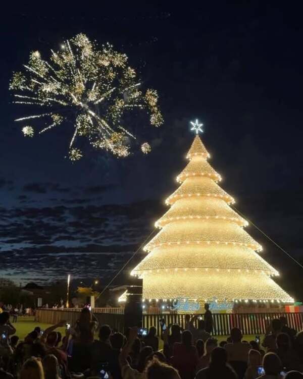 Popular / (VIDEO) ¡Ya empiezo a sentir el cascabeleo! Feroz arbolito de Navidad encendieron en Itapúa