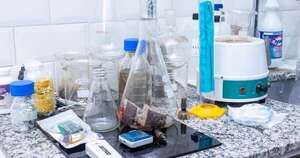 La Nación / Senad desbarata laboratorio clandestino de cannabis montado por norteamericano