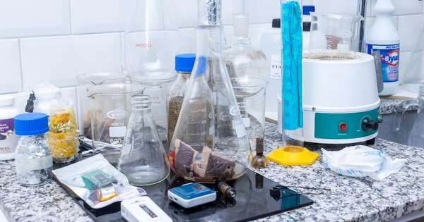 La Nación / Senad desbarata laboratorio clandestino de cannabis montado por norteamericano