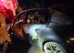 El BMW de la modelo Lorena Torres se incendió tras un confuso episodio en ruta