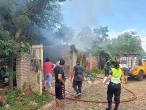Intentando eliminar un enjambre de abejas quemaron una casa
