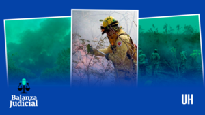 Pódcast ÚH: La inacción fiscal deja impune los incendios en Chovoreca