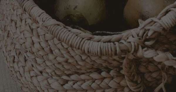 Diario HOY | Chipa en el diccionario: tres acepciones, ninguna es “la nuestra”