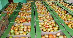La Nación / Alliana destaca primera exportación de tomates de productores caaguaceños