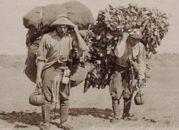 Los dolorosos yerbales del mensú liberal - El Trueno