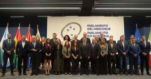 La Nación / Parlasur debate estrategias conjuntas para enfrentar al crimen organizado transnacional