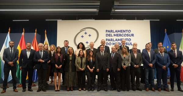 La Nación / Parlasur debate estrategias conjuntas para enfrentar al crimen organizado transnacional