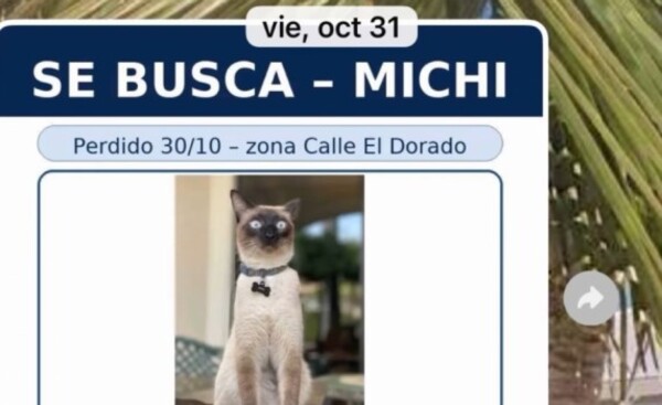 Nuevo modus operandi para estafar a dueños de mascotas perdidas