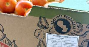 La Nación / Desde Caaguazú sale la primera exportación de tomates del año