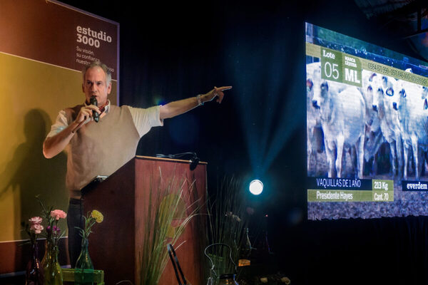 Hoy martes, Everdem remata más de 2.000 vacunos en feria especial del CEA