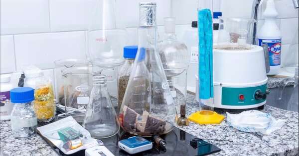 La Nación / Senad desbarata laboratorio clandestino de cannabis